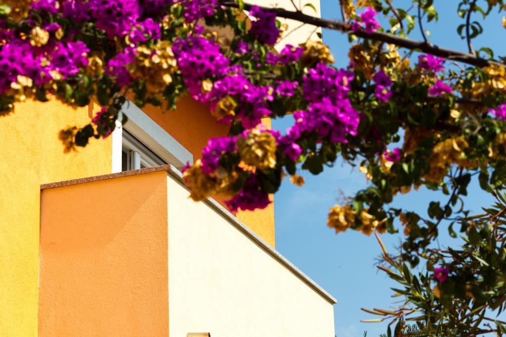 زادار Apartments Villa Orange المظهر الخارجي الصورة